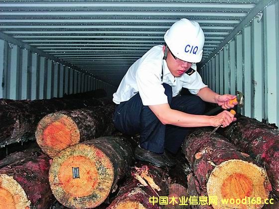 ����ڰ�2016��ԭľ�M(j��n)�������� ���b��ԭľ���L(zh��ng)����