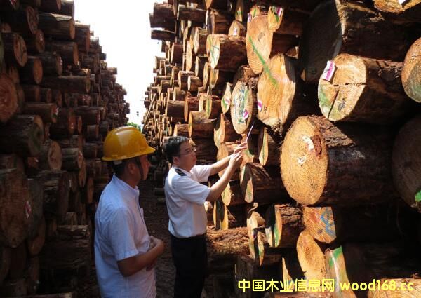 �M��ľ�ęz���Ј��_����ģʽ �|�������ƄӰlչ