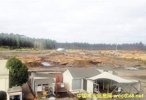 �B�T(m��n)��(gu��)�Q(m��o)�ث@�����mľ�Ĺ���(y��ng)ӆ�� ��Ҏ(gu��)���֘I(y��)Ͷ�Y