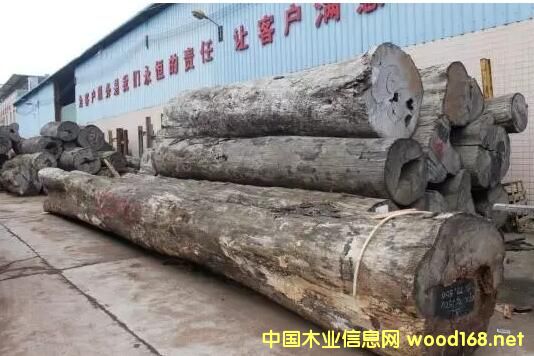 �����^���tľ�Ј����Lӛ�������ľ�ăr���q