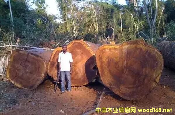 �G��ɣ���fľ֮����ľ������ģ�