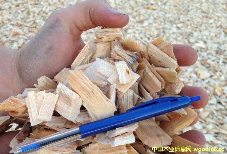 �҇�ľƬ���Q�΄���� 2017��ľƬ�M�ڔ�����������