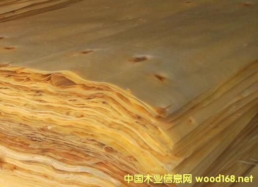 ����h�����Iӭ�����ڶ����� �Ą����a��Ҏ���Ƥ