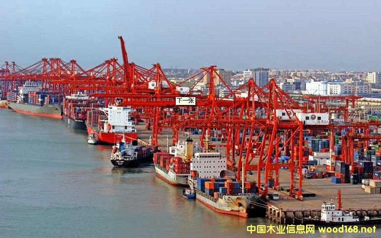 ���d��1-4���M��ľ��������50%