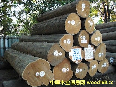 ��ľ�Ј����m���أ��M�����������L