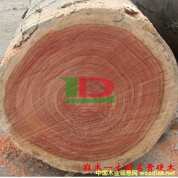 ľ�Ę�(sh��)�NԔ��--Ьľ  �׷Q���tõ�塢õ����Rľ���t��ľ