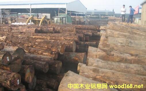 �����M(j��n)��ľ�ĳʬF(xi��n)�֏�(f��)�����L(zh��ng)