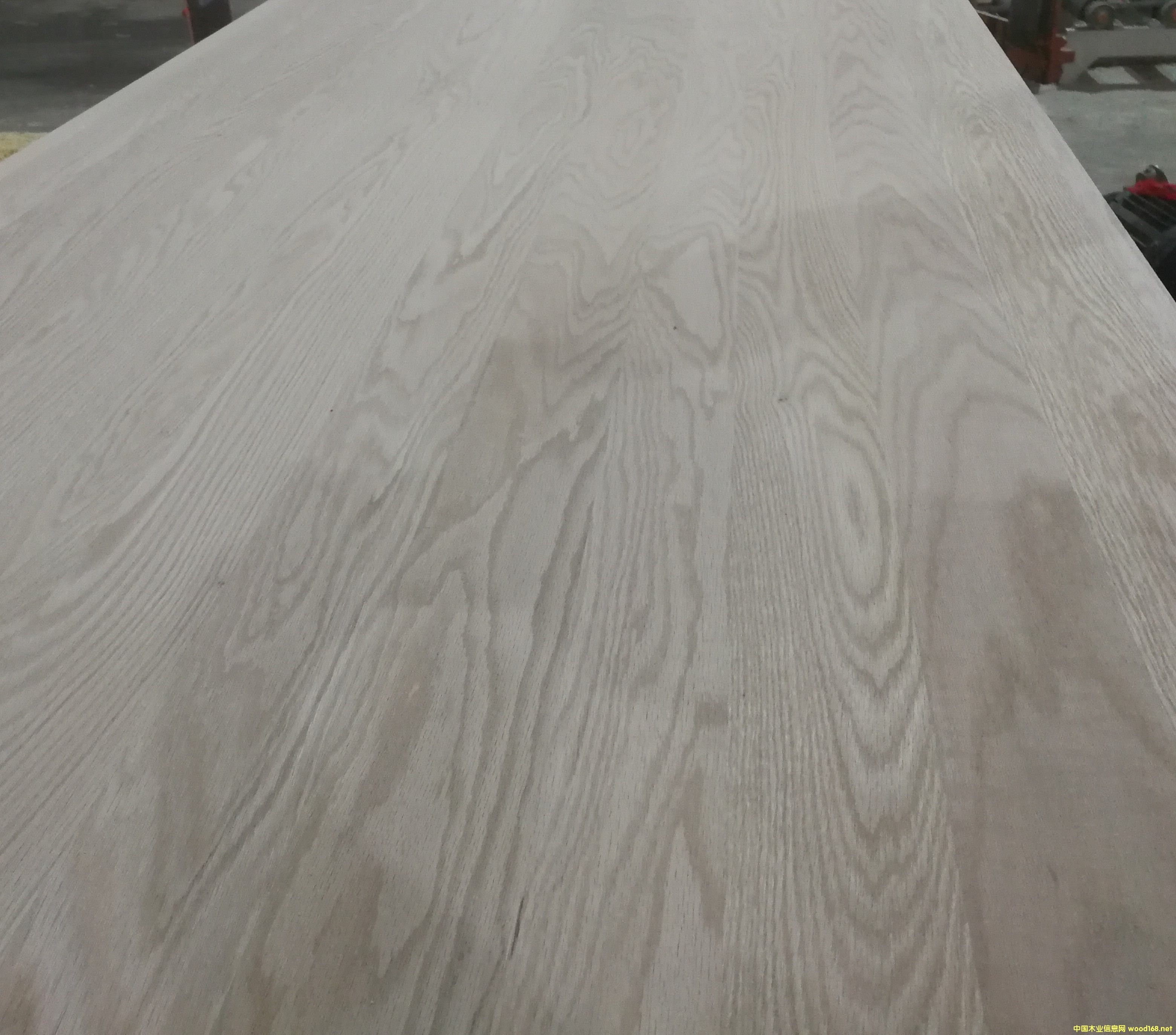 �t��ƴ���Ԕ����B