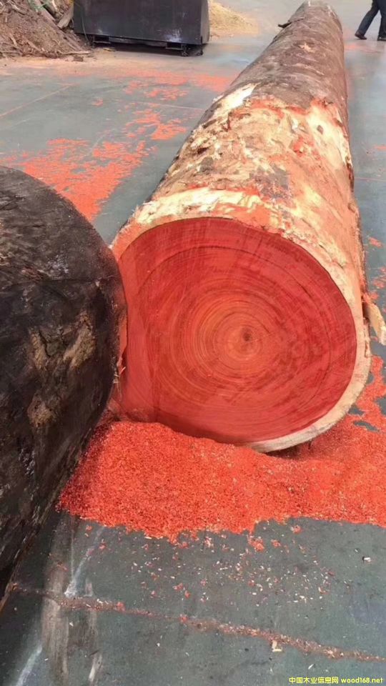 �t���棬������̴��Ԕ��(x��)��B