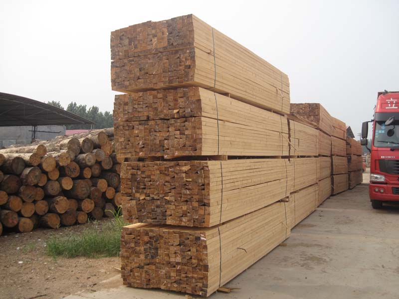 ����ľ��