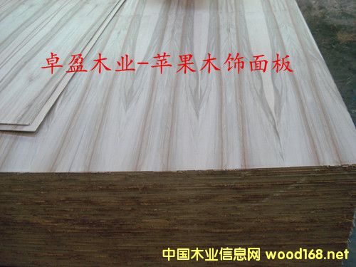 [��] �|ݸ���w��A���о���NľƤ