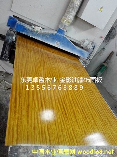 0.3��ӰľƤ����Ӱ��Ƥ����Ӱ�����Ԕ����B