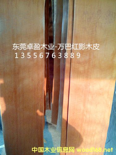 �tӰľƤ10�z��20�z��30�z��Ԕ����B