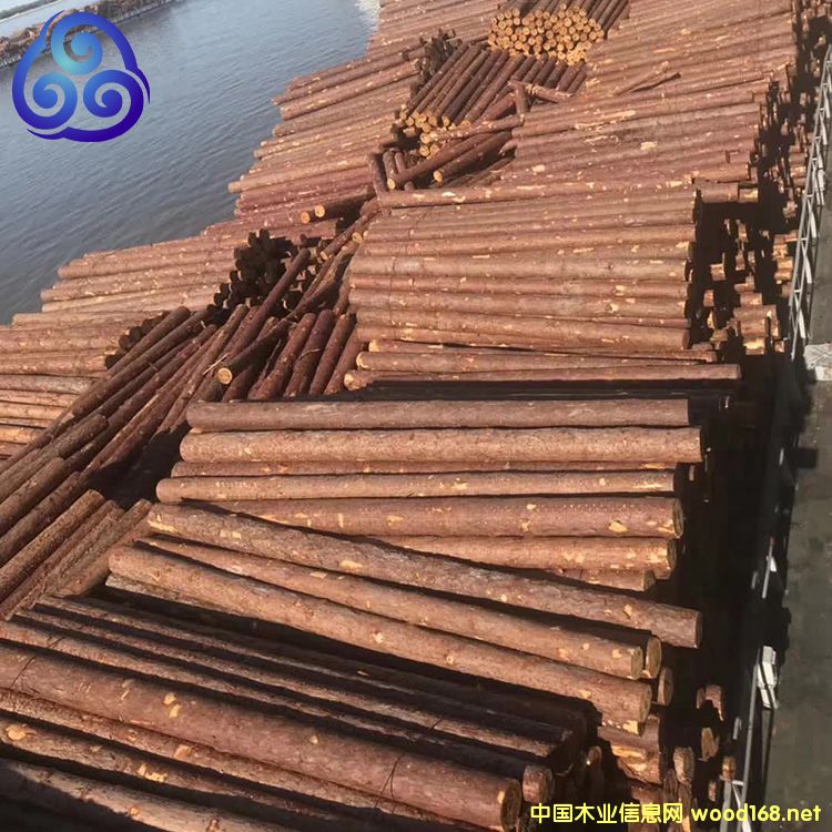 ���~���S���ə_�lľ����Ԕ��(x��)��B