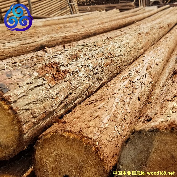 ľ����Ԕ��(x��)��B