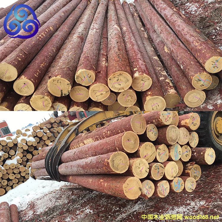 ���~���S���ə_�lľ����Ԕ��(x��)��B