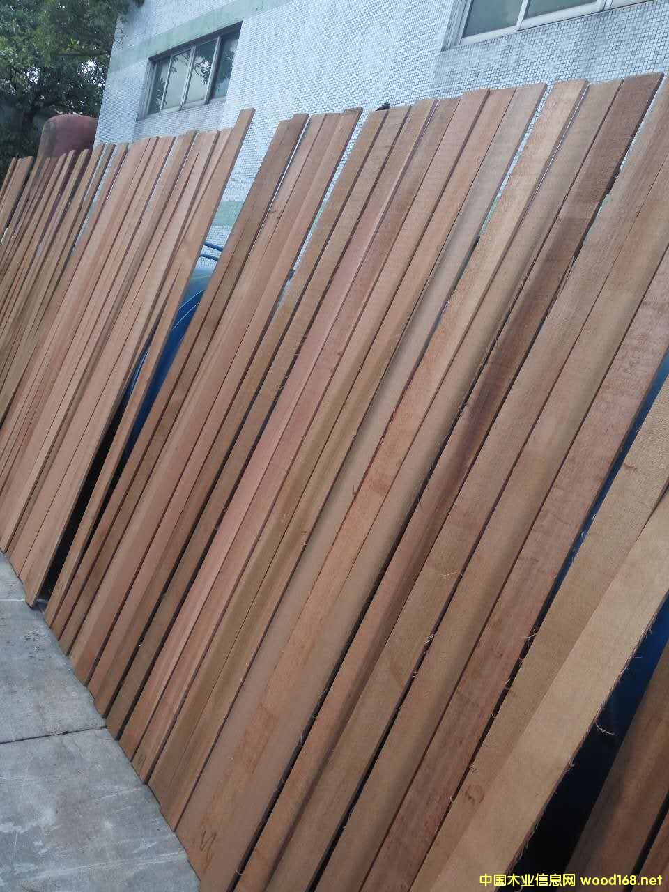 �tѩ�ɟo����