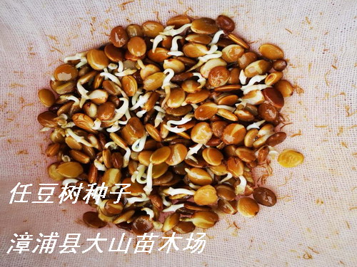 �ζ���N�������vľ��Ԕ����B