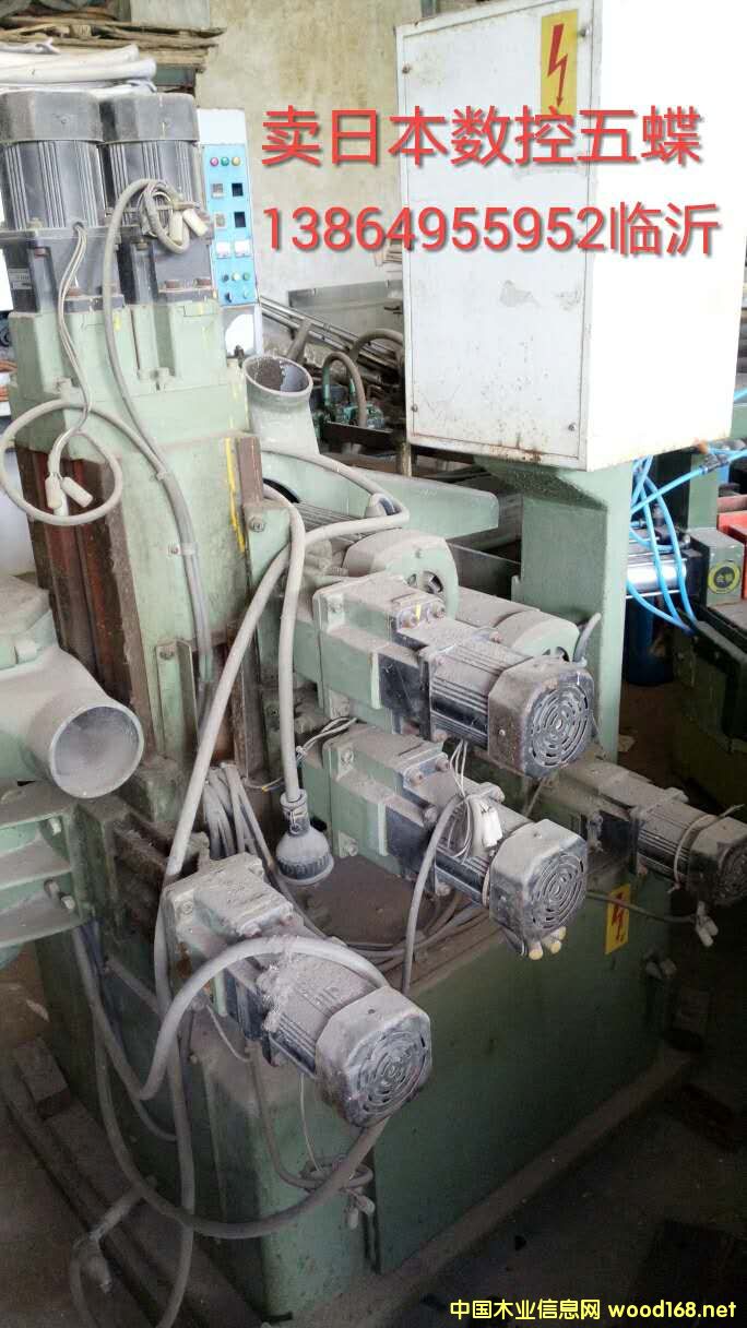 ��������_龙C