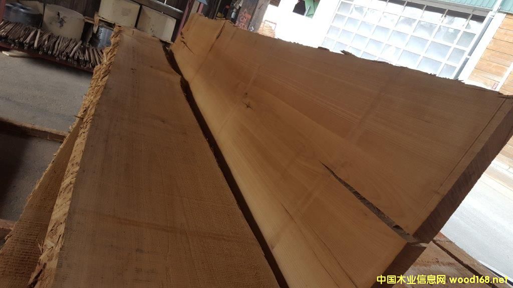 ��ľ��ĵ�Ԕ����B