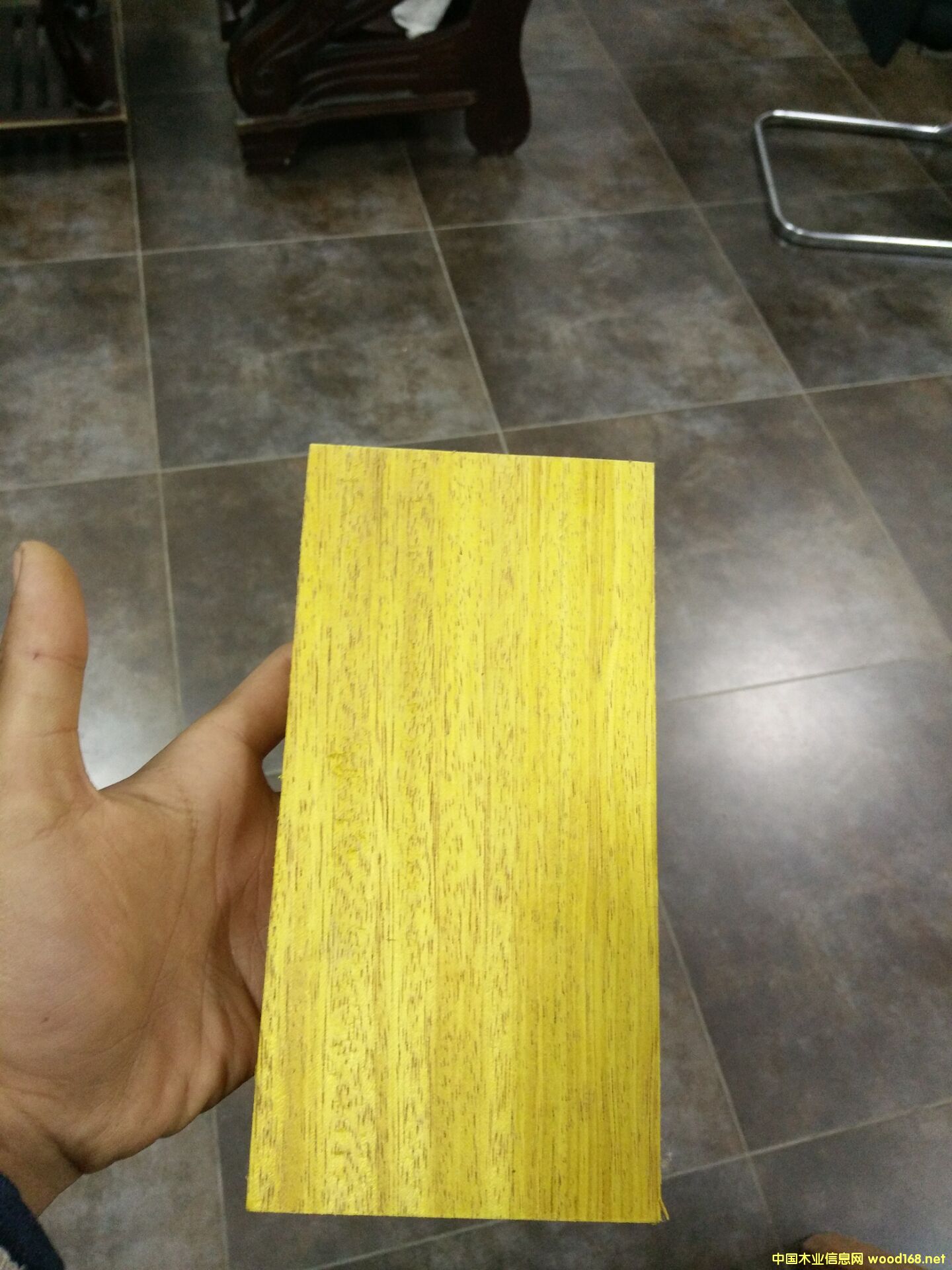 ���޲��}����⾰�^ľ�ĵ�Ԕ����B