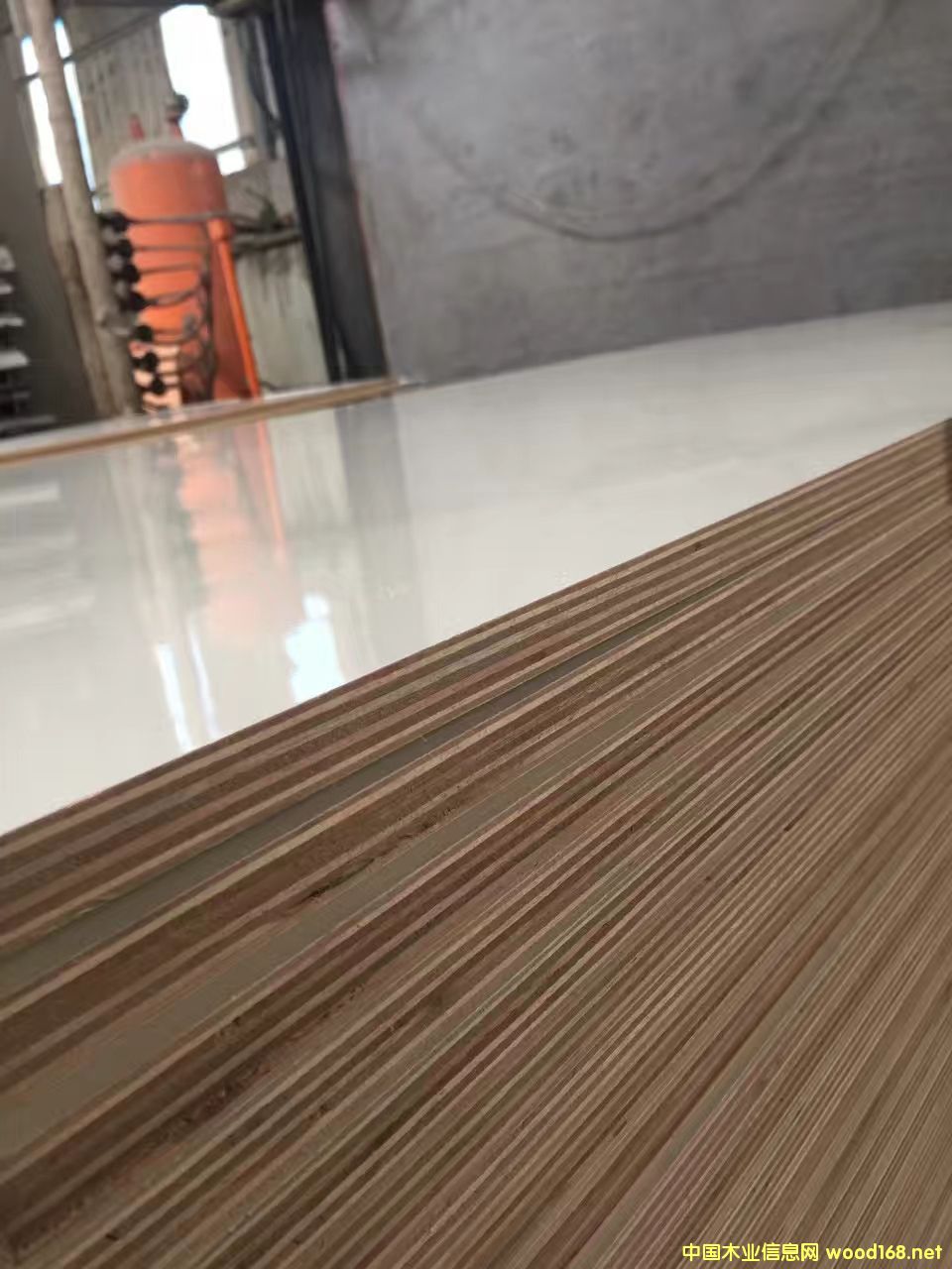 [��] ���ȩ��ͯ�Ҿ߰�