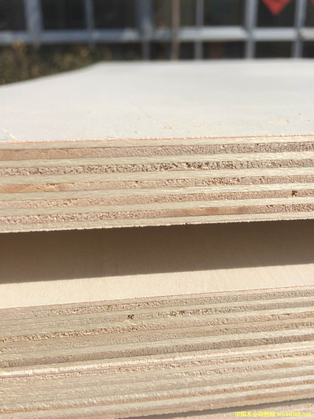 [��] �����ň@���B��