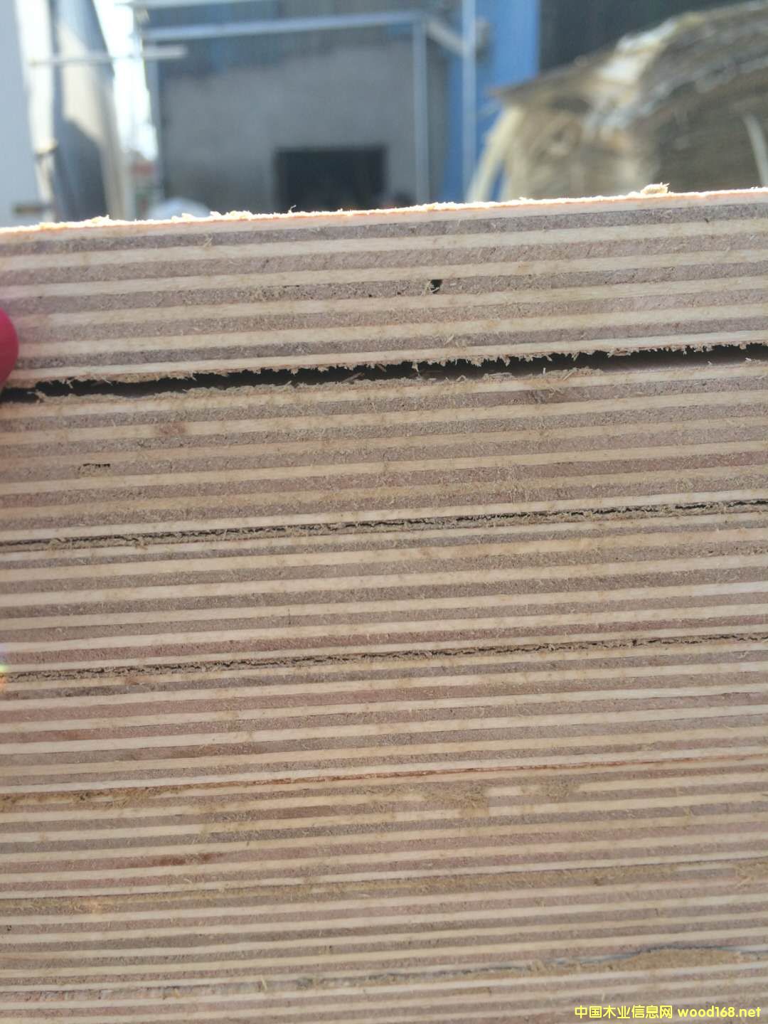 [��] �ߙn����� �Ҿ߰� �����Ҿ߰�