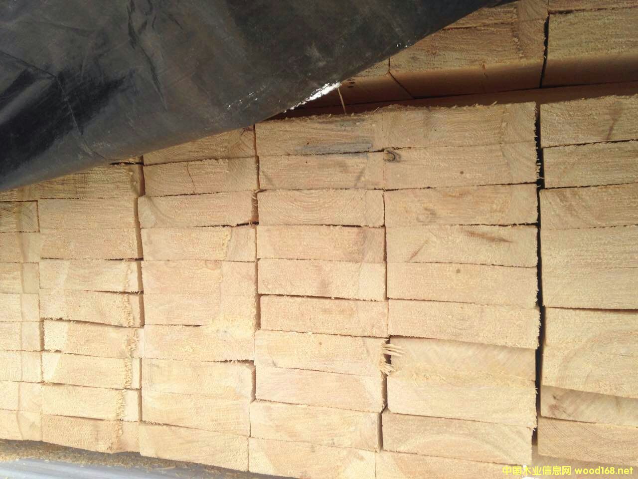 �����ɰ�ĵ�Ԕ����B