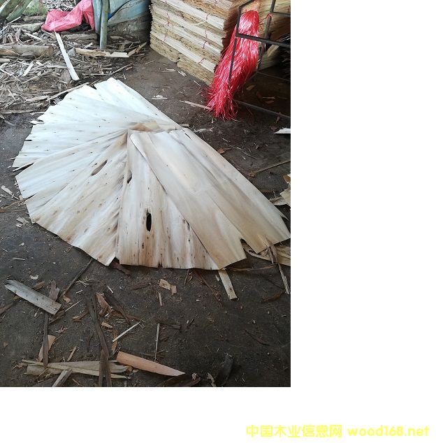 ��ľ�ΰ�Ƥ���а�