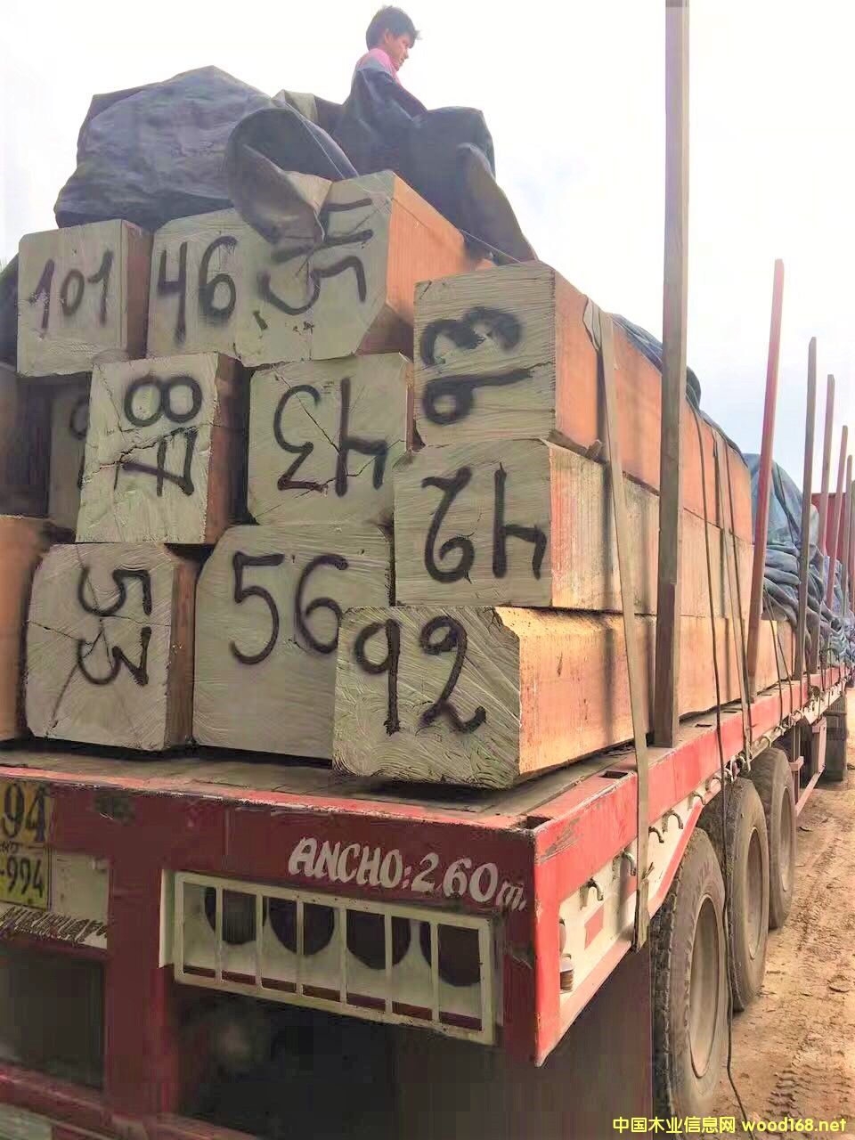 �����R�t̴���Ԕ��(x��)��B