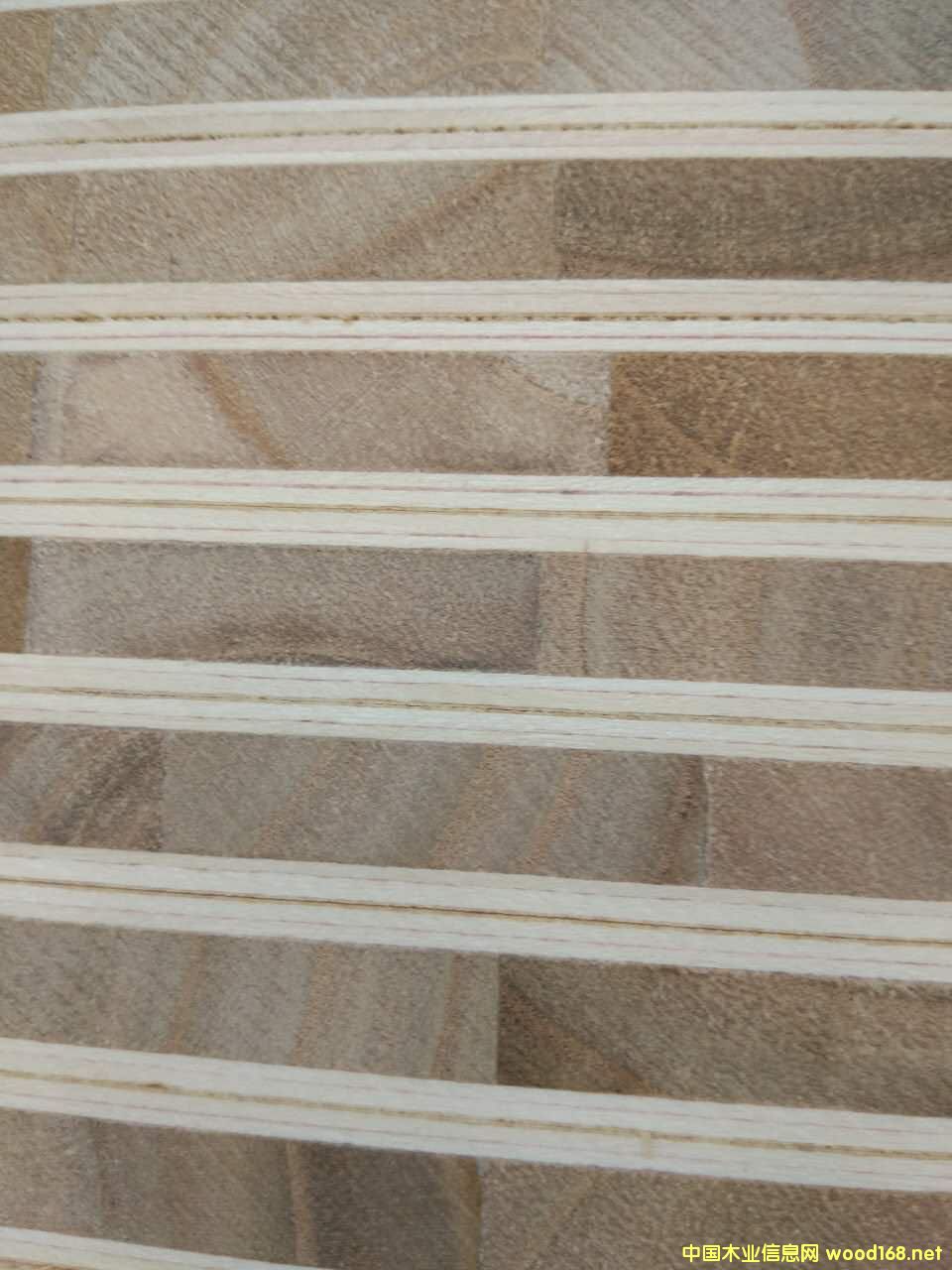 �p�z���B���