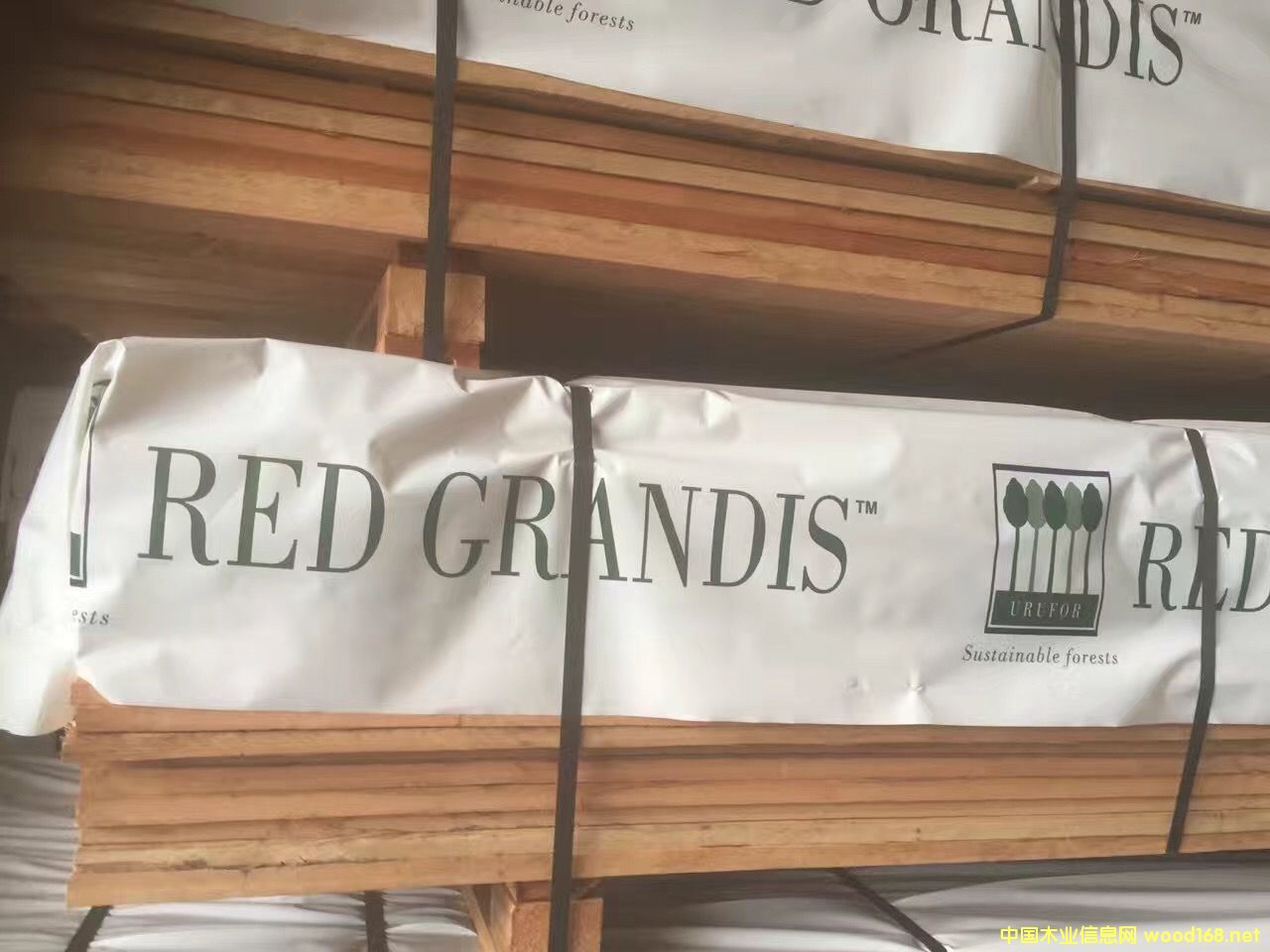 ������õ��ľ��Ԕ����B