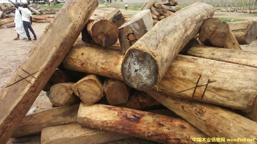 �������M��