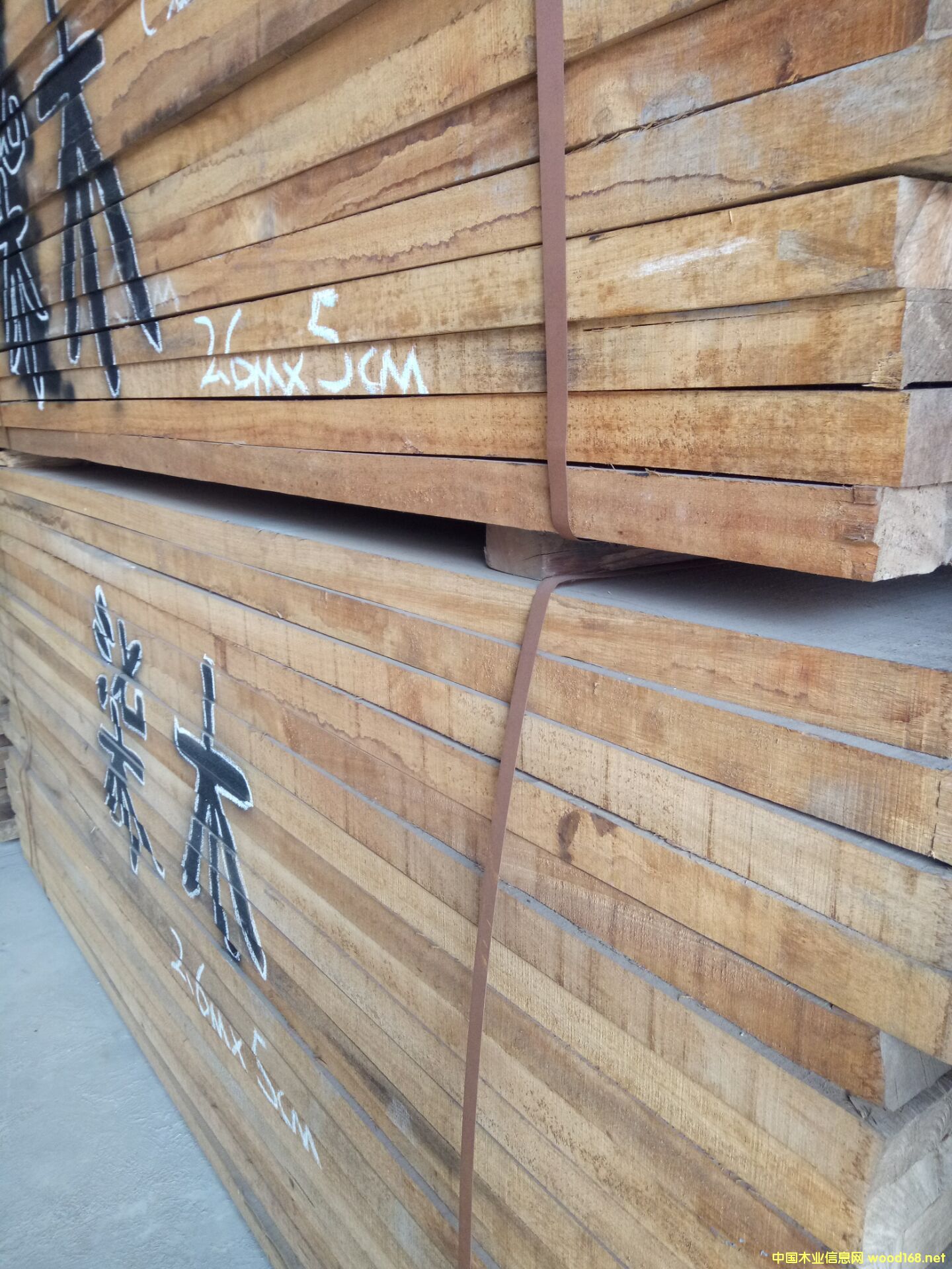 緬甸漆木的詳細介紹