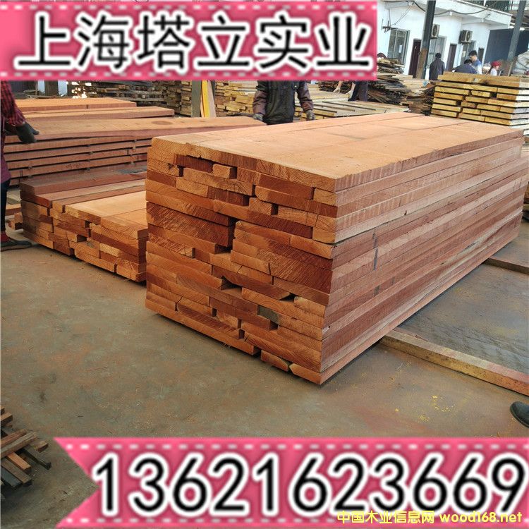 �W�����Ҿߘ��݌�ľ�T������l