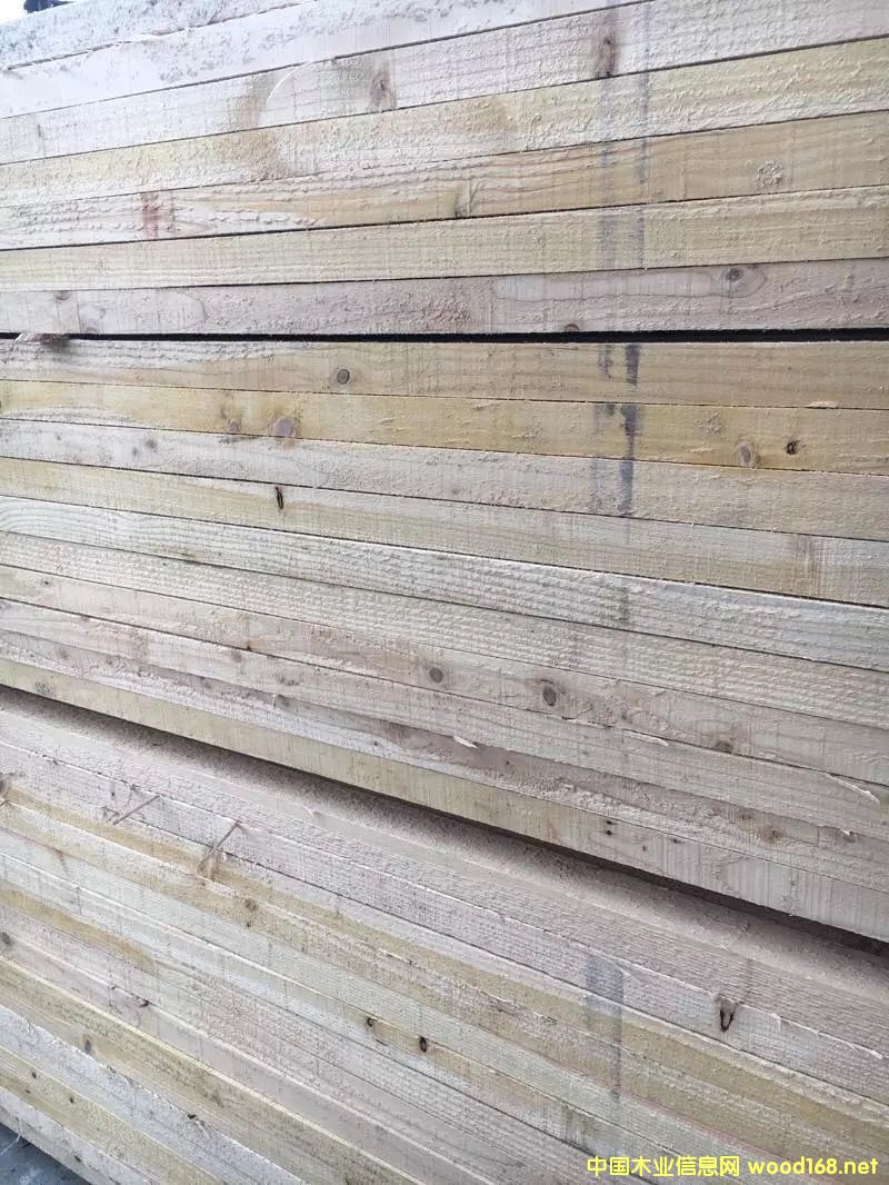 鐵衫的詳細介紹