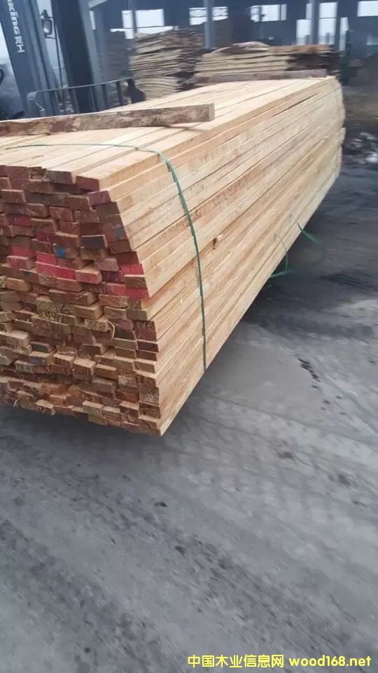 ݗ���ɵ�Ԕ����B