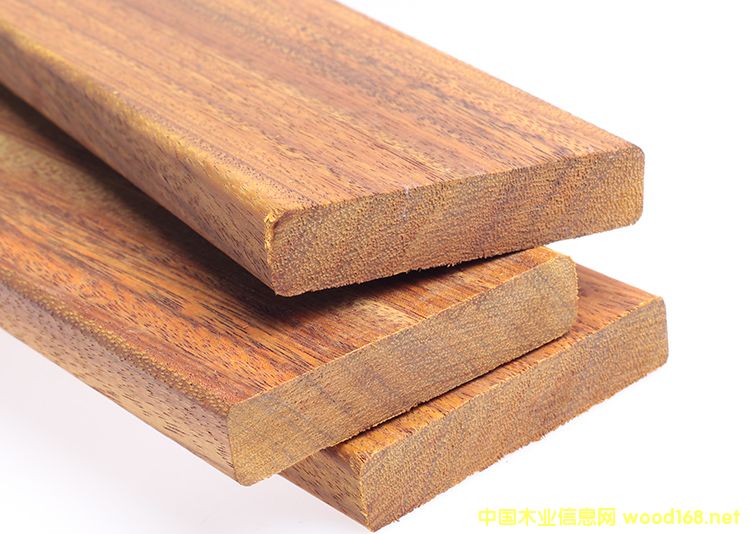 ���޲��}�����ľ