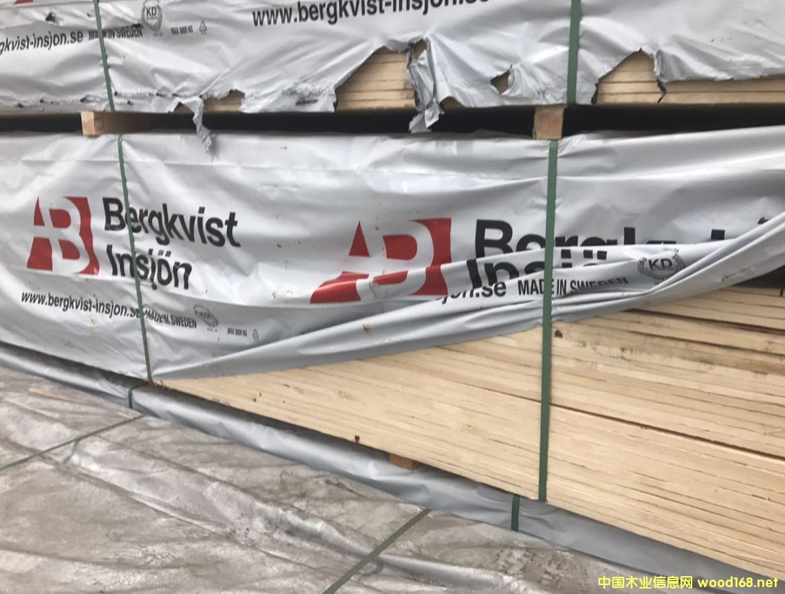 ������ɼ