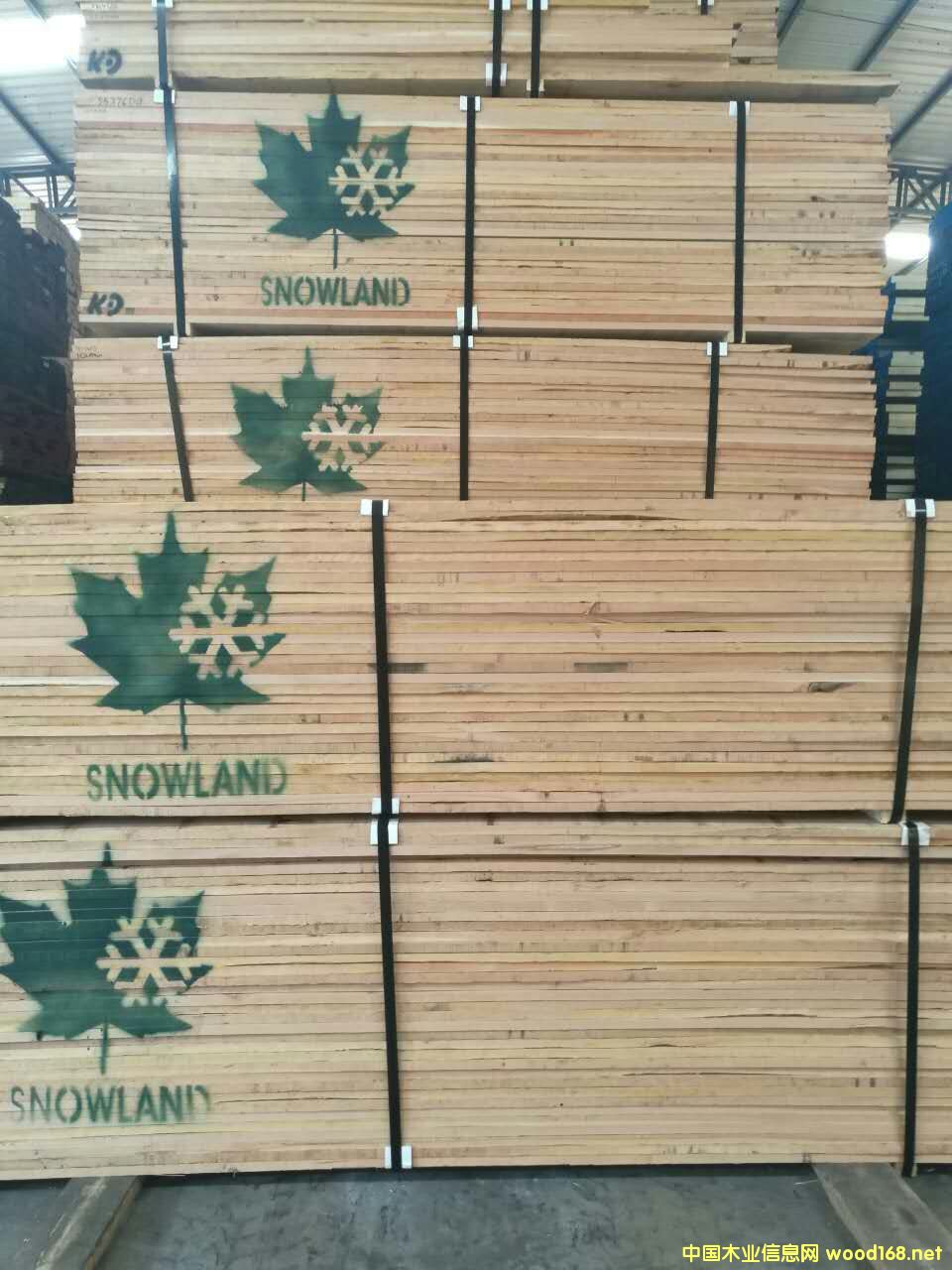 ���ҵ�Ԕ����B