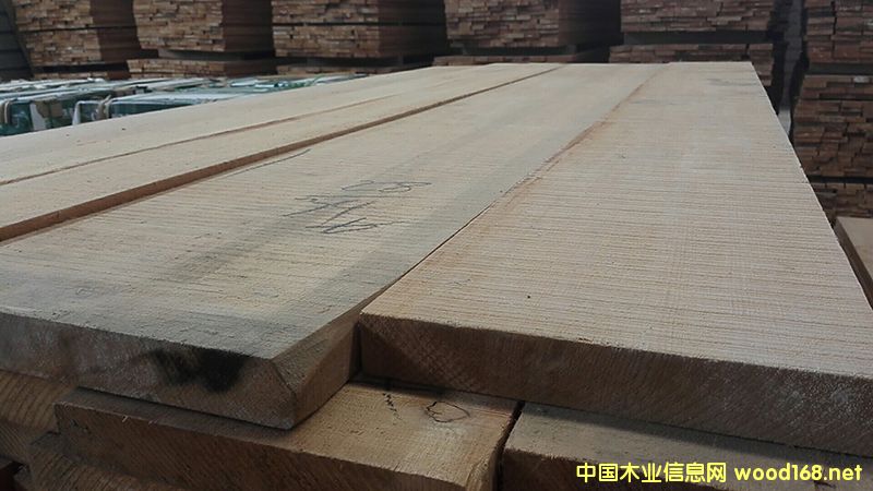 ����ɼ���