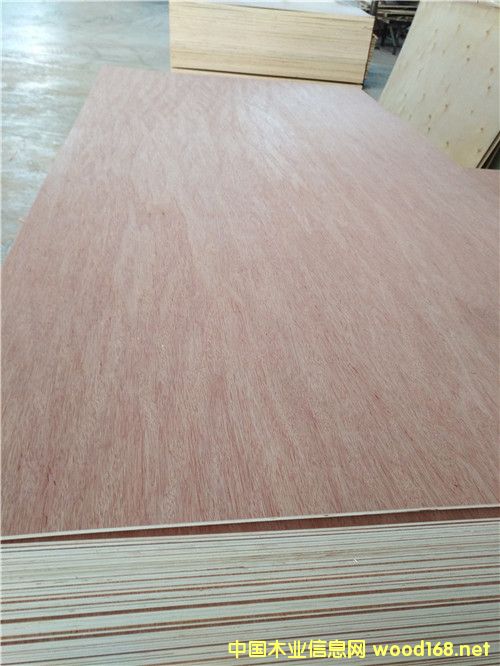 ���ǹ��N���z�ϰ�