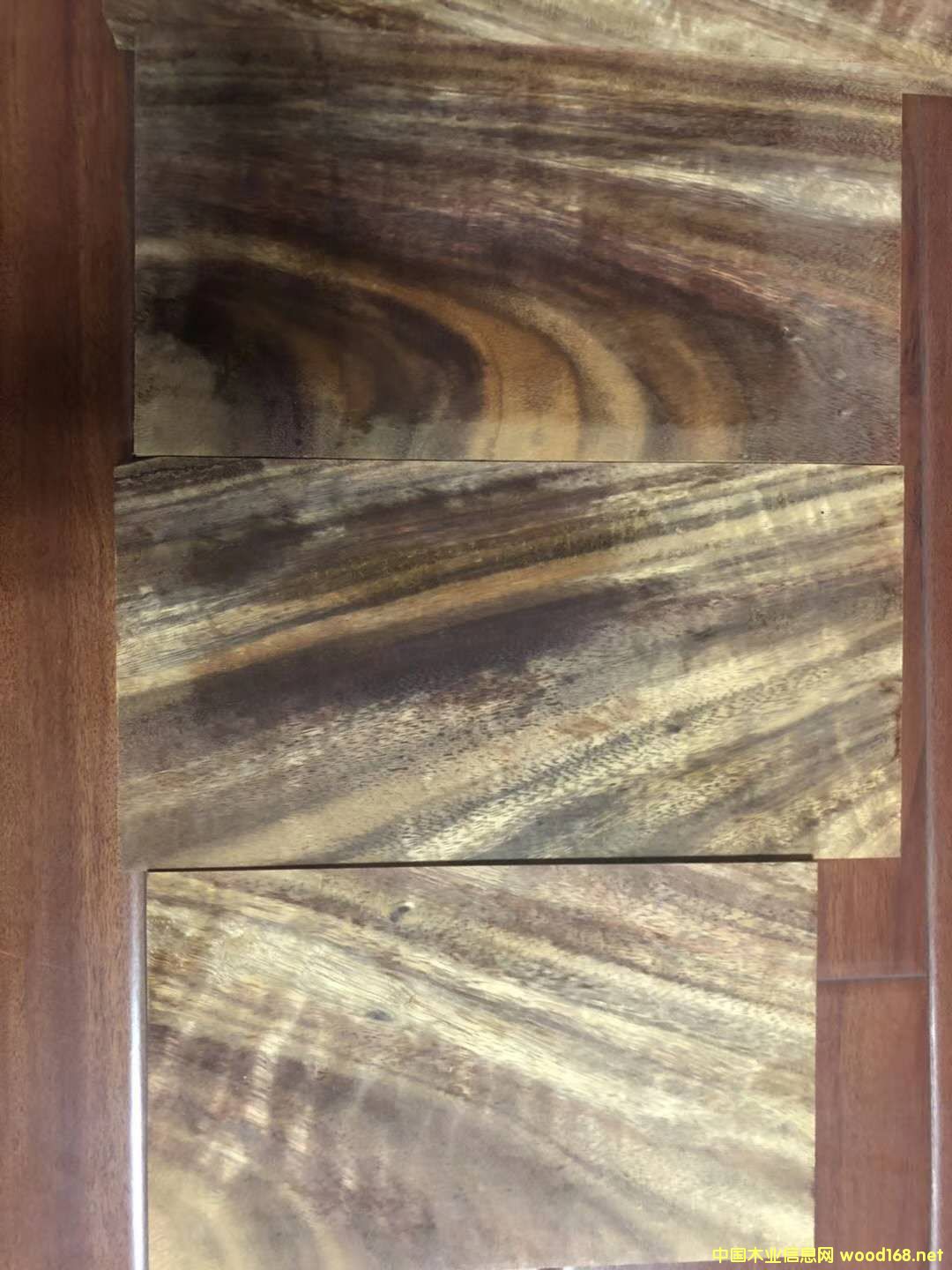 �������~�S�����Ԕ����B