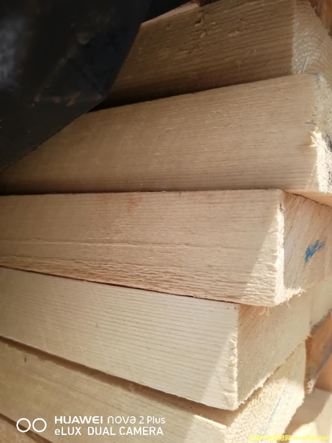   ��Ԕ����B