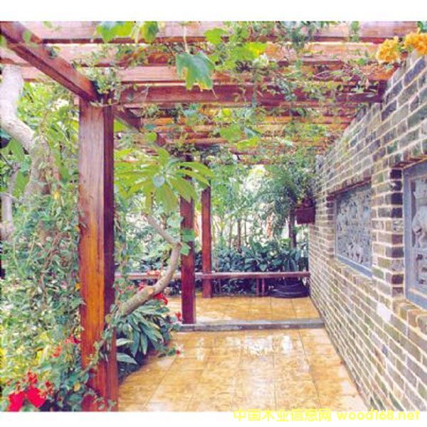 ��ľ���^����