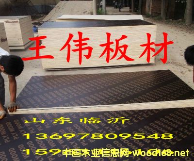 ����ģ���Ԕ����B