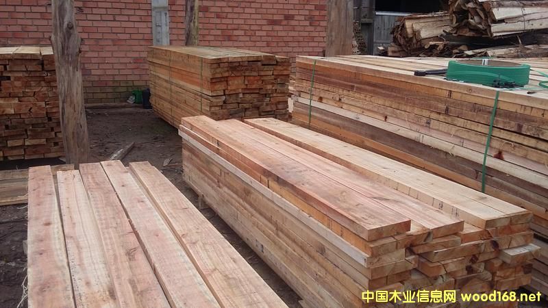 õ����ľ F.A.S �й��c AD