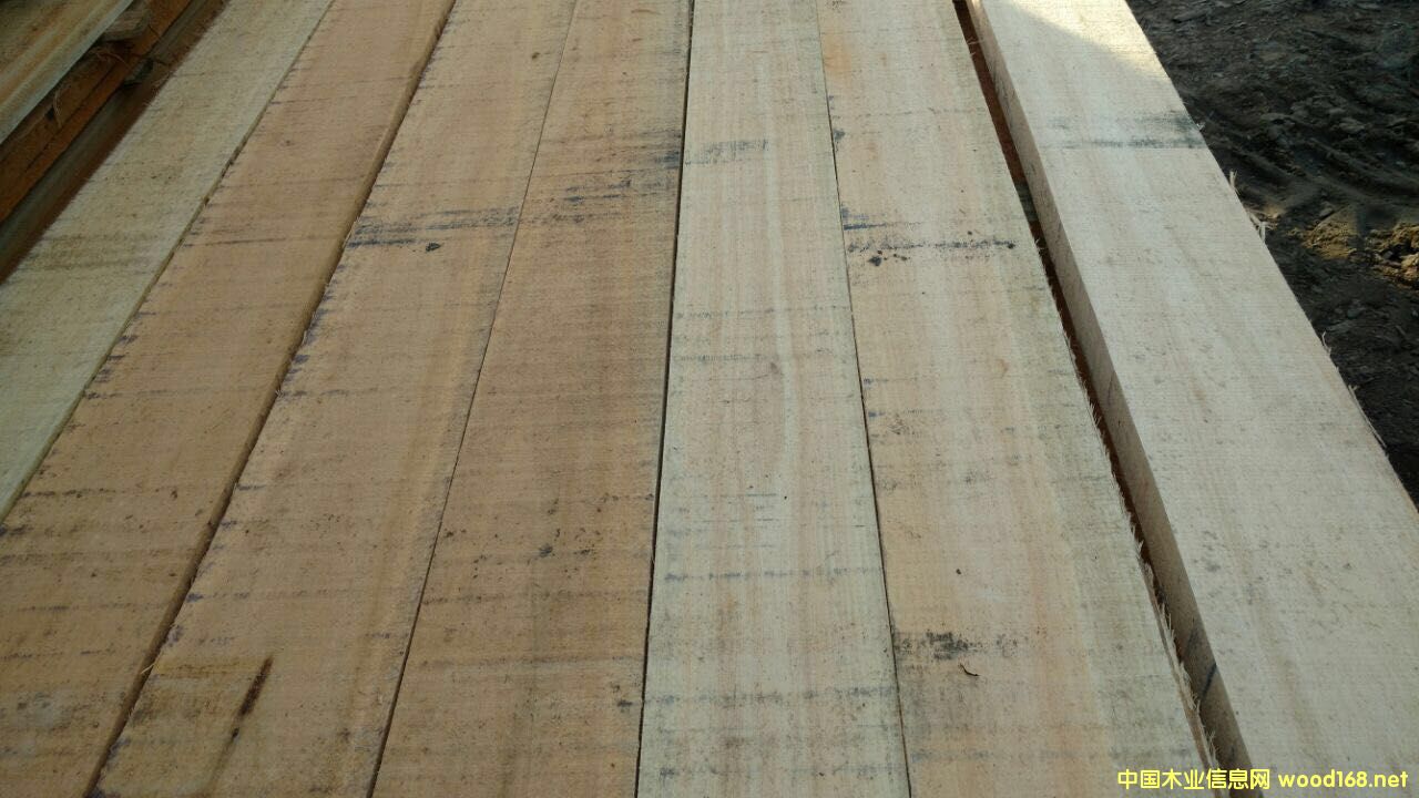 õ����ľ F.A.S 피�(j��) �������o(w��)��(ji��)�c(di��n)��Ԕ��(x��)��B