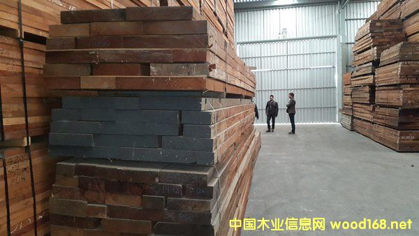 �鶼��˹�һ���ľswietenia macrophylla